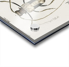 Different types of beetles Acrylic print