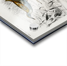 Different types of birds Acrylic print