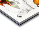 Different types of birds Acrylic print