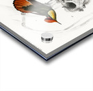 Different types of beetles Acrylic print