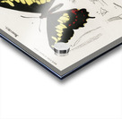 Different types of beetles Acrylic print