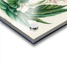 Begonia Begonia incarnata Impression Acrylique