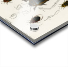 Different types of beetles Acrylic print