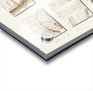 Collection of hand drawing of human skin structure Acrylic print