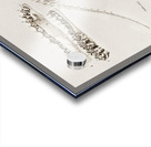 Ungulate Anoplotherium Acrylic print