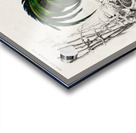 ictionnaire Universel D histoire Naturelle D Orbi 1694477606.4411 Acrylic print