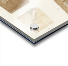 Human skin layers Acrylic print