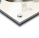 Indian peafowl bird Acrylic print