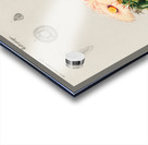 Starry Ball Mammillaria elephantidens Acrylic print