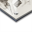 Chthyosaurus Acrylic print