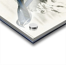 Different types of birds Acrylic print