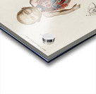 Circulation of the blood In a fetus Acrylic print