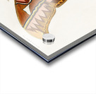 Attacus Atlas Moth Attacus Aurora Acrylic print