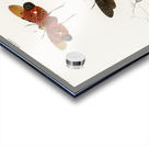 Collection of moths Impression Acrylique