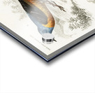 Different types of birds Acrylic print