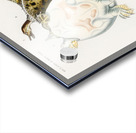 Green Sea Turtle Chelonia mydus and Spiny softshell turtle Gymnopus spiniferus Acrylic print