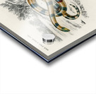 Coral Snake Elaps Corallinus and Egyptian Cobra Naja Hoje Acrylic print