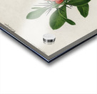 Euphorbia Splendens Acrylic print