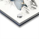 Shrinking frog Pseudis Merianae and Black-spotted casque-headed tree Trachycephalus geographieus Acrylic print