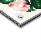 Eastern dobsonfly Corydalus cornutus Acrylic print