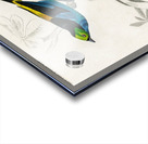 Different types of birds Acrylic print