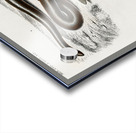 Eryx and the Red-tailed boa Acrylic print