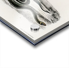 Grass Snake and the green vine snake Acrylic print