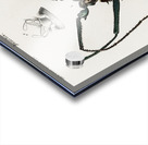 Enoplocerus Armillatus Acrylic print