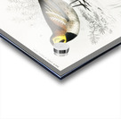 Different types of birds Acrylic print