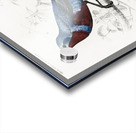 Different types of birds Acrylic print