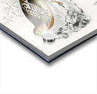 Different types of birds Acrylic print