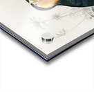 Toucan bird Acrylic print