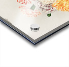 Carnation Dianthus caryophyllus Acrylic print