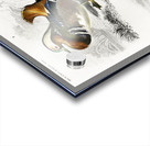 Different types of birds Acrylic print