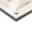 Kingfisher Alcedo Acrylic print