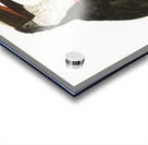 Toco toucan  Acrylic print