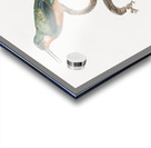 Rufous-tailed Jacamar Acrylic print