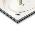 Emperor bird-of-paradise head claw feather and tail  Acrylic print