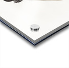 Twelve wired bird of paradise  Acrylic print