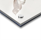 White-chested puffbird  Acrylic print