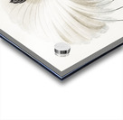 Twelve wired bird of paradise  Acrylic print