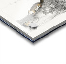 Glaucomys sabrinus Polatouche D Amerique Acrylic print