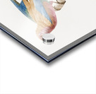 Young violet roller  Acrylic print