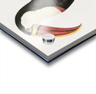 Toucan Acrylic print