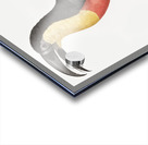 Green-billed toucan  Acrylic print