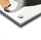 Toco toucan Acrylic print