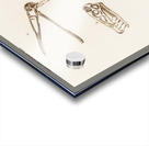 Pterosaur Pterodactylus Acrylic print