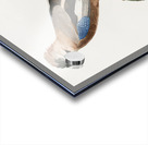 Eurasian Jay  Acrylic print