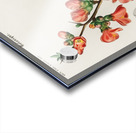 Maule&39s quince Cydonia japonica Acrylic print