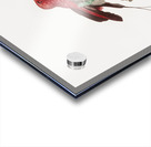 King bird of paradise male  Acrylic print